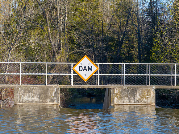 DamnFV-106-HDR