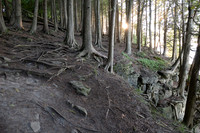 lumix photos-660