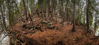 DBluffTree-147-HDR-Pano