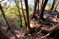 lumix photos-701