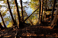 lumix photos-709