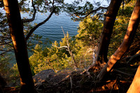 lumix photos-717