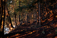 lumix photos-740