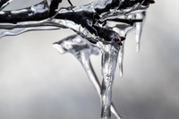 Epic Ice Storm-224