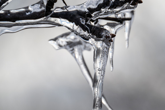 Epic Ice Storm-224