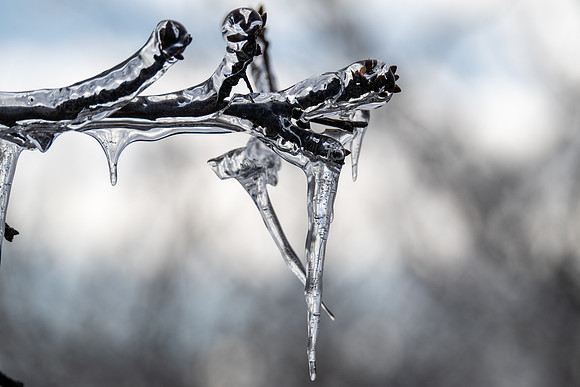 Epic Ice Storm-229