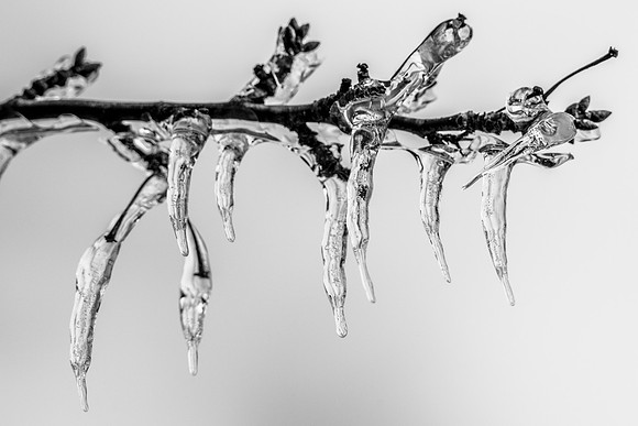 Epic Ice Storm-237