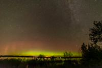 NL83019-21-Enhanced-NR