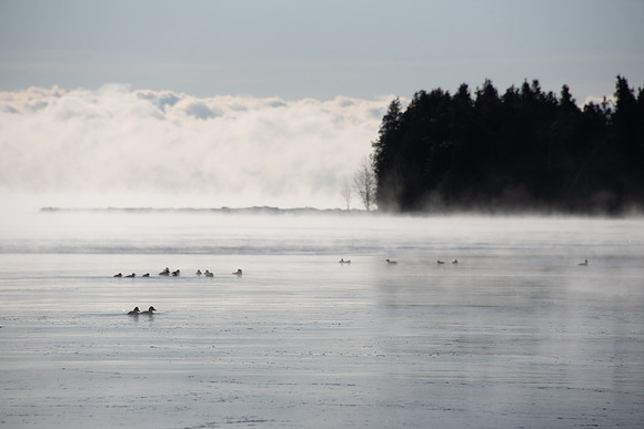 02-11-2021-Dan Eggert-Toft Point Sunrise Ice-10
