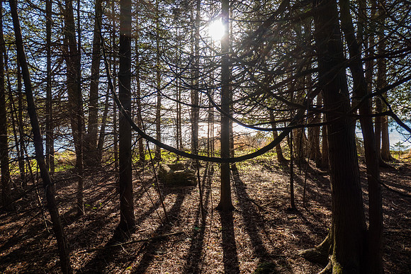 ToftSpring-3