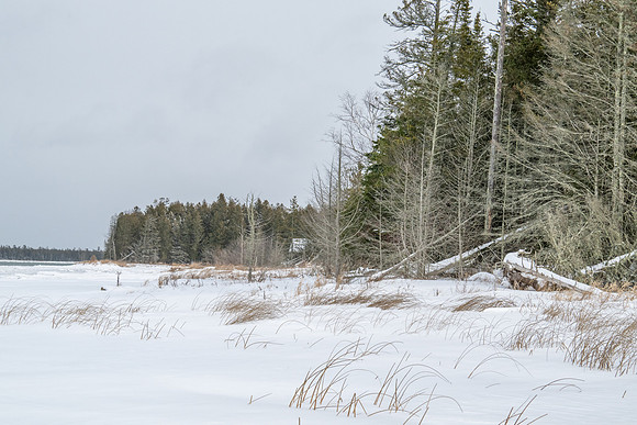 Toft Point Snowy Grey 2025-5
