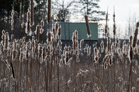 Toft Cat tails-32