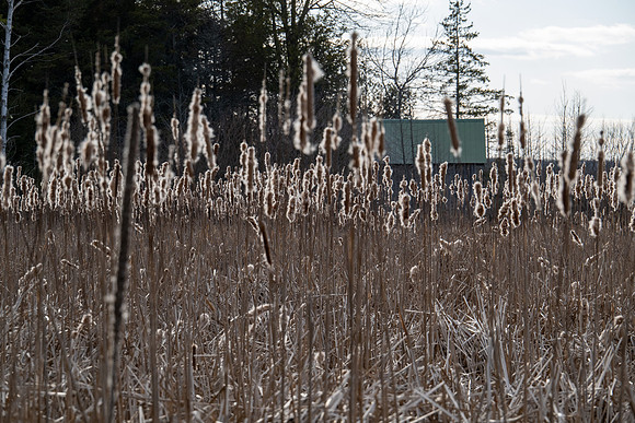 Toft Cat tails-26