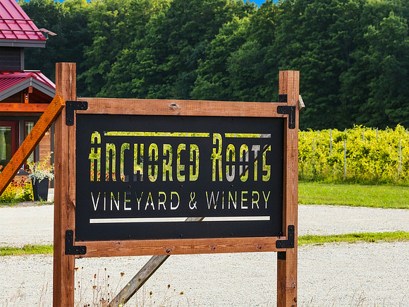 Anchored Roots Vineyard and Winery DDC 2026-2