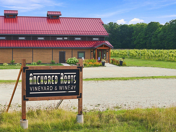 Anchored Roots Vineyard and Winery DDC 2026-3