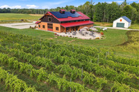 Anchored Roots Vineyard and Winery DDC 2026-4