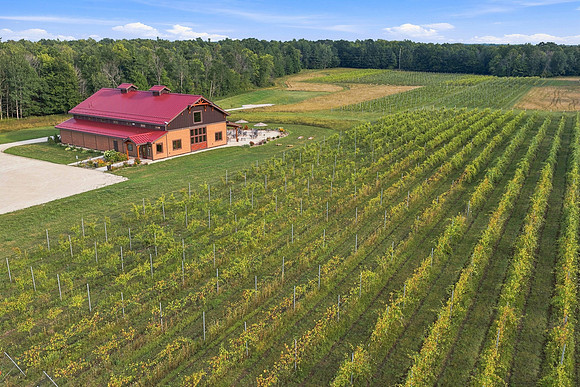 Anchored Roots Vineyard and Winery DDC 2026-5