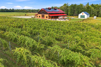 Anchored Roots Vineyard and Winery DDC 2026-8