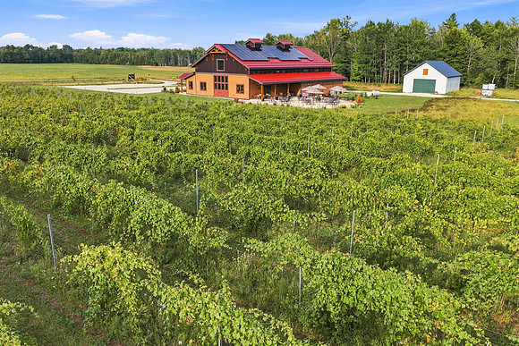 Anchored Roots Vineyard and Winery DDC 2026-8