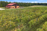 Anchored Roots Vineyard and Winery DDC 2026-7