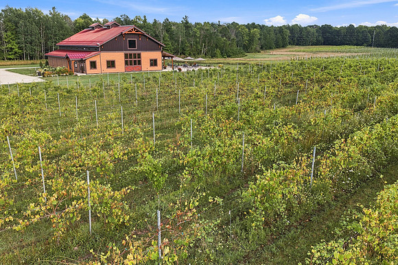 Anchored Roots Vineyard and Winery DDC 2026-7