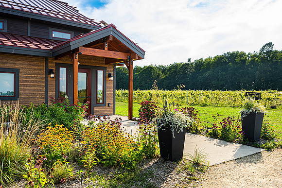 Anchored Roots Vineyard and Winery DDC 2026-10