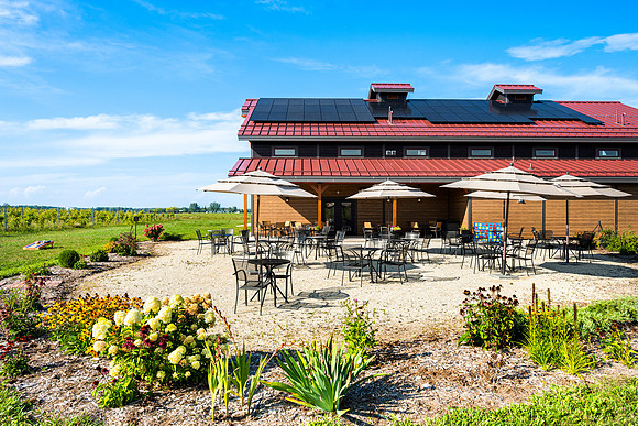 Anchored Roots Vineyard and Winery DDC 2026-18