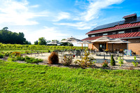 Anchored Roots Vineyard and Winery DDC 2026-19