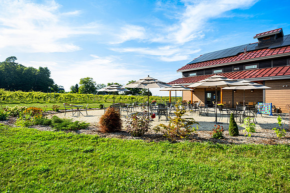 Anchored Roots Vineyard and Winery DDC 2026-19