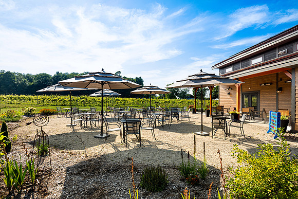 Anchored Roots Vineyard and Winery DDC 2026-21
