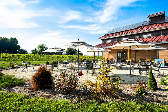 Anchored Roots Vineyard and Winery DDC 2026-20