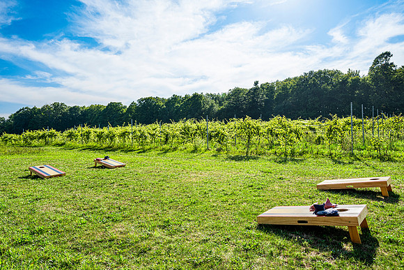 Anchored Roots Vineyard and Winery DDC 2026-26