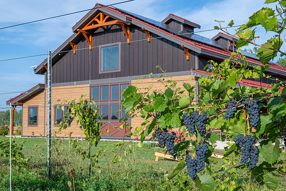 Anchored Roots Vineyard and Winery DDC 2026-31