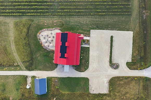 Anchored Roots Vineyard and Winery DDC 2026-72