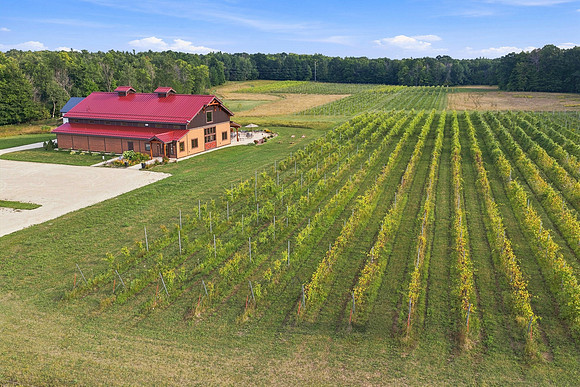 Anchored Roots Vineyard and Winery DDC 2026-74