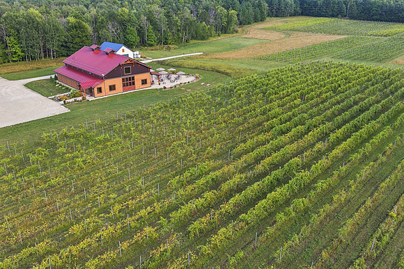 Anchored Roots Vineyard and Winery DDC 2026-75