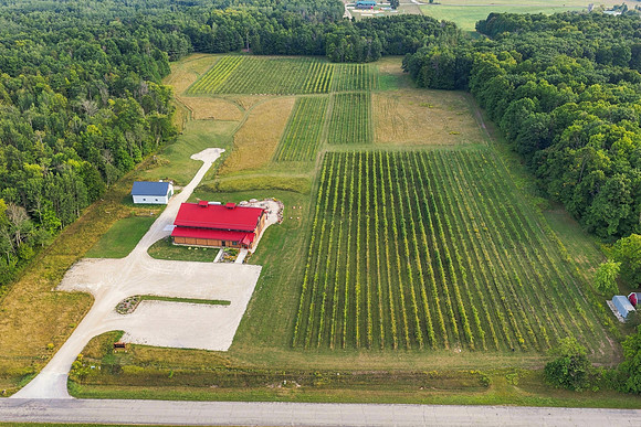 Anchored Roots Vineyard and Winery DDC 2026-76