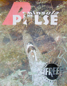 ppv3i11_cover_sm