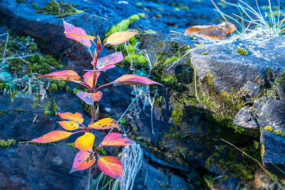 Keweenaw Fall Adventure 2026-33