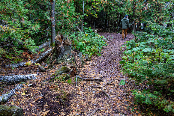 Hunters Point and Brockway Mt Fall Views-12