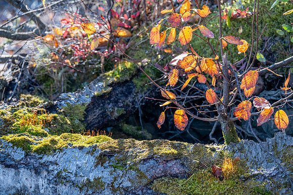 Keweenaw Fall Adventure 2026-34