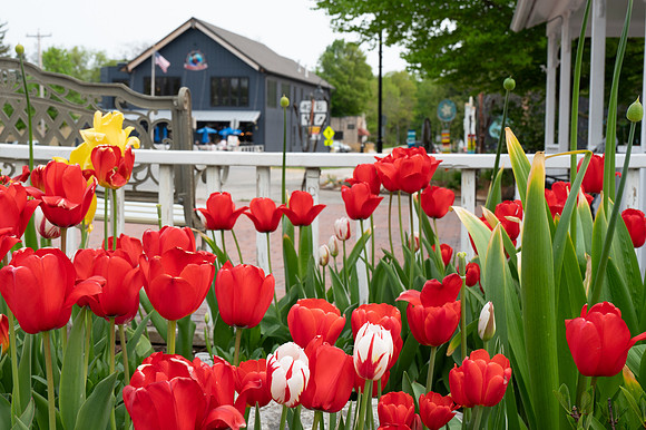 Egg Harbor Hazy Evening Walk-18