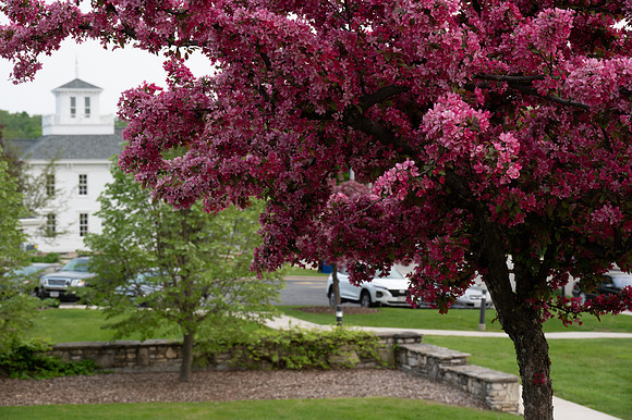 Egg Harbor Hazy Evening Walk-185