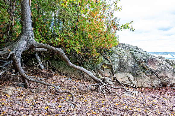 Hunters Point and Brockway Mt Fall Views-15