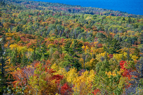Hunters Point and Brockway Mt Fall Views-48
