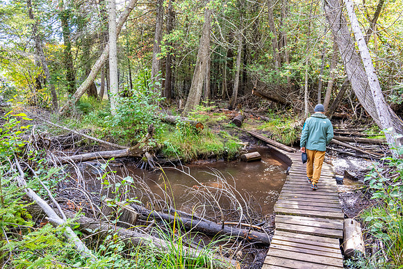 Hunters Point and Brockway Mt Fall Views-30