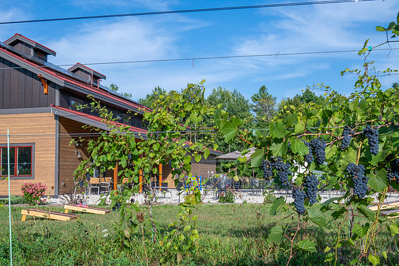 Anchored Roots Vineyard and Winery DDC 2026-32