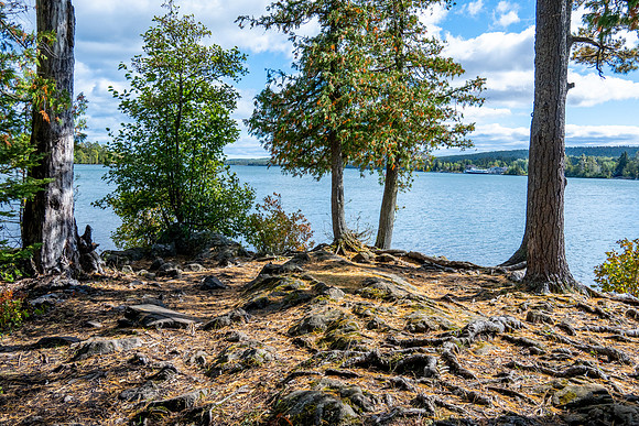 Hunters Point and Brockway Mt Fall Views-29