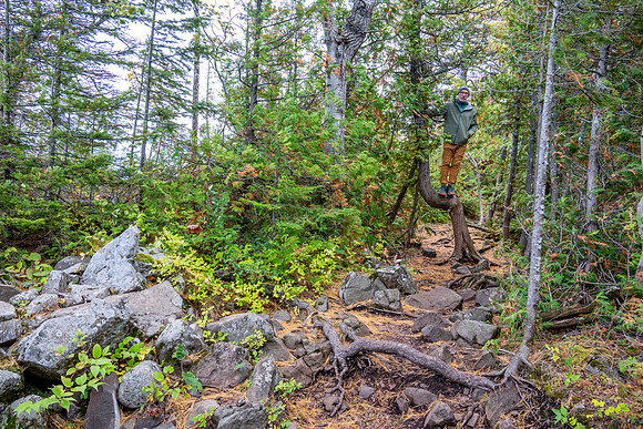 Hunters Point and Brockway Mt Fall Views-10