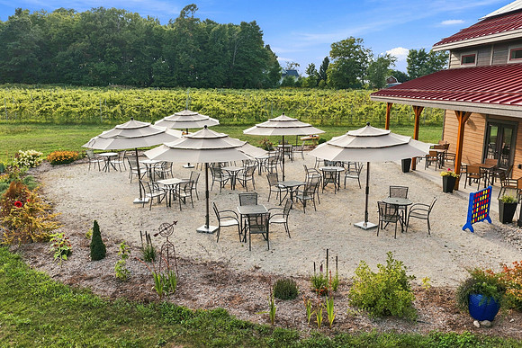 Anchored Roots Vineyard and Winery DDC 2026-25